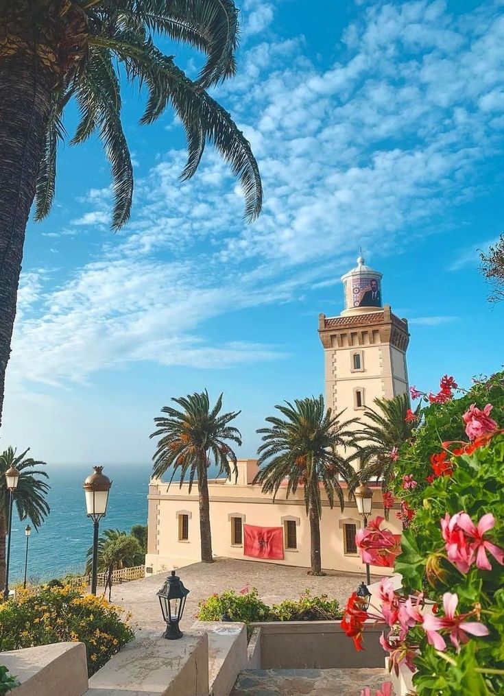 Morocco, المغرب tangier