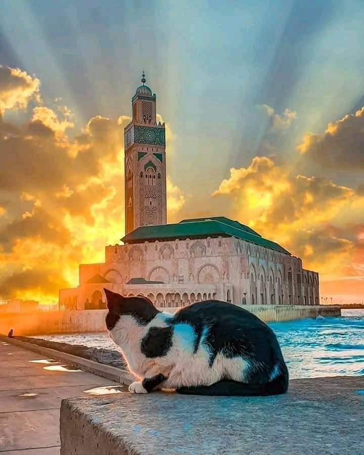 morocco casablanca